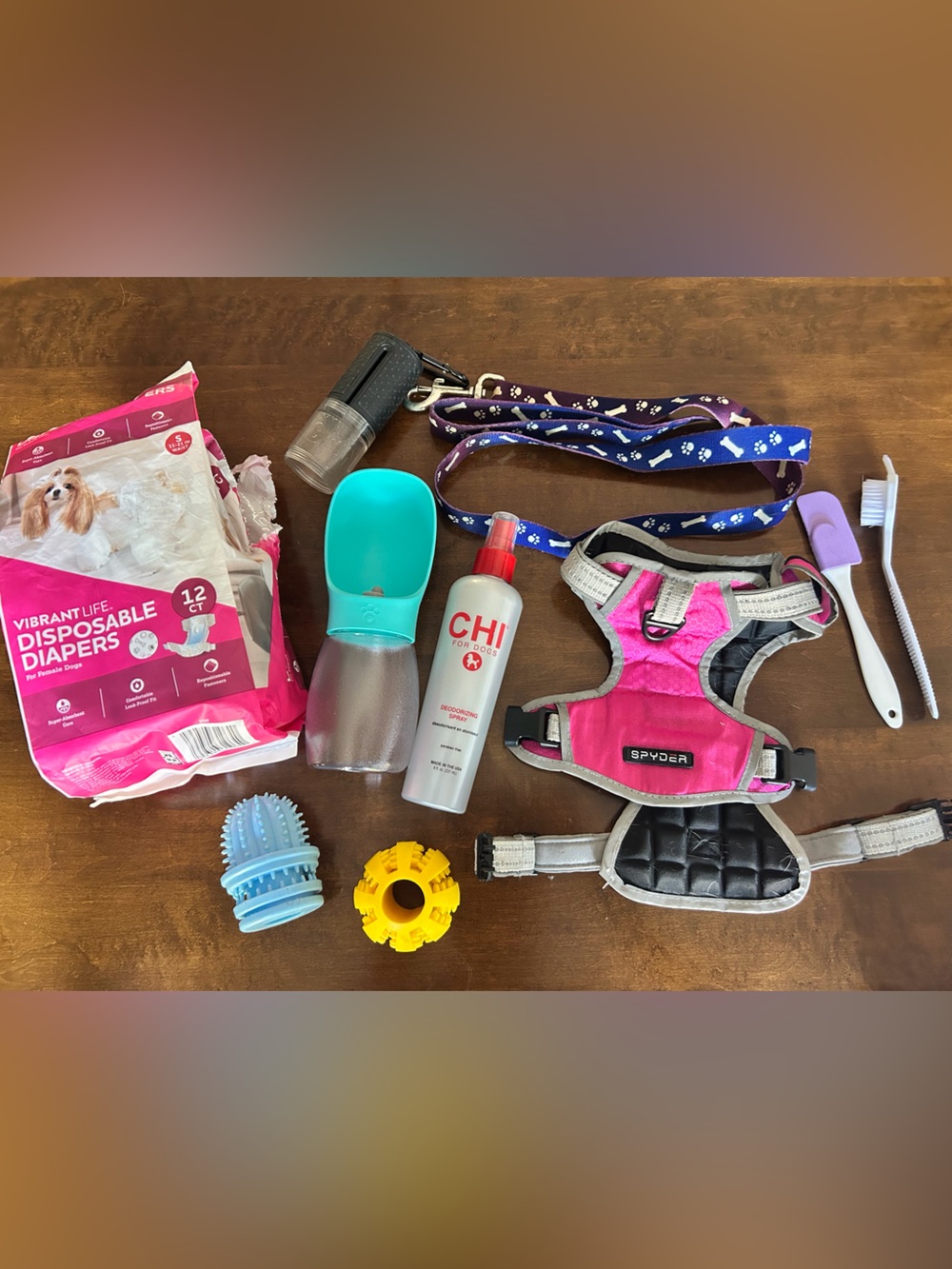Bundle of Dog Items